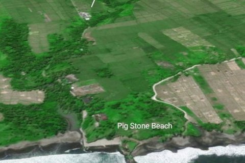 Land in Tabanan, Bali (12131) 1