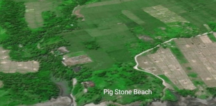 Land in Tabanan, Bali (12131)