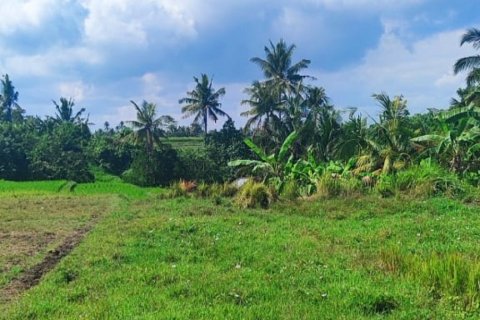 Land in Tabanan, Bali (12131) 5