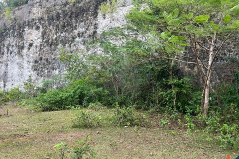 Land in Ungasan, Badung, Bali (11733) 5