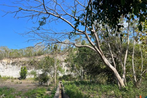 Land in Ungasan, Badung, Bali (11733) 3