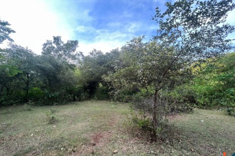 Land in Ungasan, Badung, Bali (11733) 2