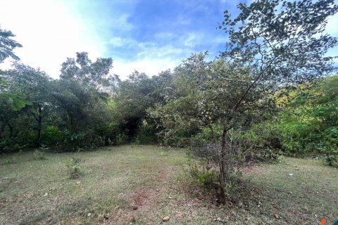 Land in Ungasan, Badung, Bali (11733) 4
