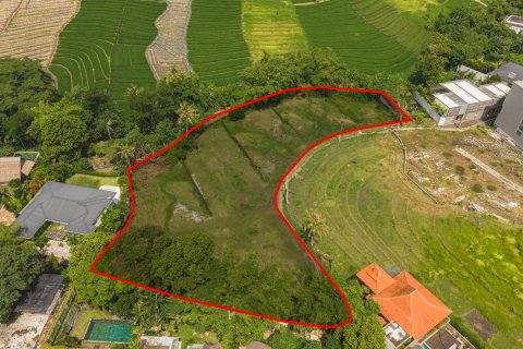 Land in Pererenan, Mengwi, Badung, Bali (15614) 3