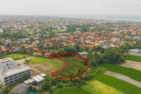 Land in Pererenan, Mengwi, Badung, Bali (15614) 5