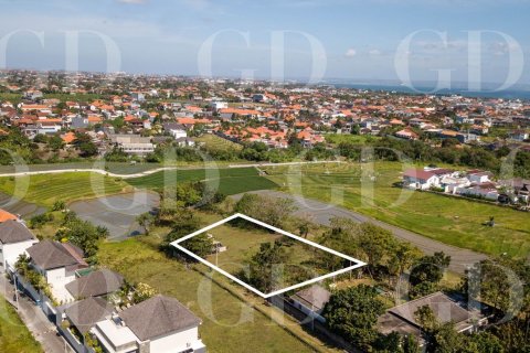 Land in Canggu, Badung, Bali (4625)
