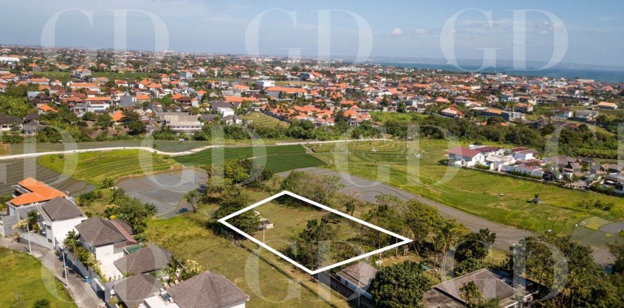 Land in Canggu, Badung, Bali (4625)