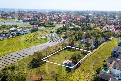 Land in Canggu, Badung, Bali (4625) 3