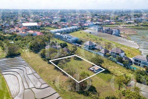 Land in Canggu, Badung, Bali (4625) 2