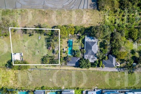 Land in Canggu, Badung, Bali (4625) 4
