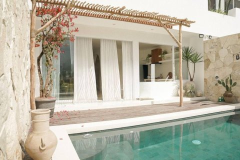 2 bedrooms Villa in Canggu, Badung, Bali (15334)
