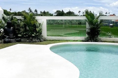 4 bedrooms Villa in Canggu, Badung, Bali (15213) 9