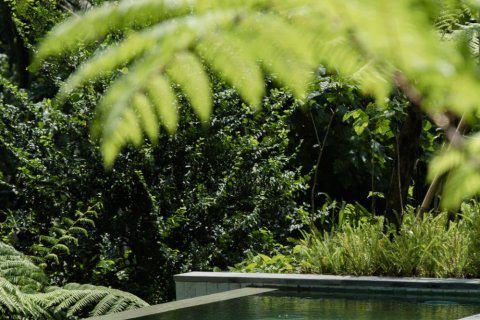4 bedrooms Villa in Kaba-Kaba, Kediri, Tabanan, Bali (15686) 26