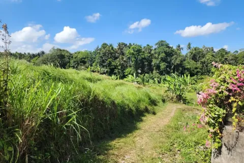 Land in Ubud, Gianyar, Bali (17052) 10