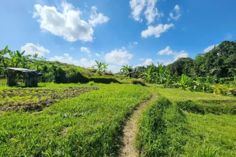 Land in Ubud, Gianyar, Bali (17052) 2
