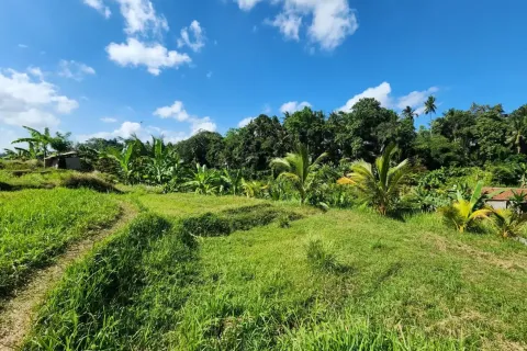 Land in Ubud, Gianyar, Bali (17052) 3