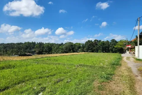 Land in Ubud, Gianyar, Bali (17052) 13