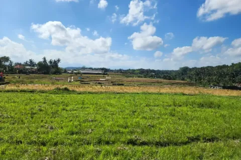 Land in Ubud, Gianyar, Bali (17052) 14