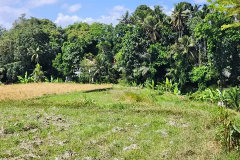 Land in Ubud, Gianyar, Bali (17052) 11