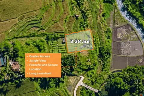 Land in Ubud, Gianyar, Bali (17052)