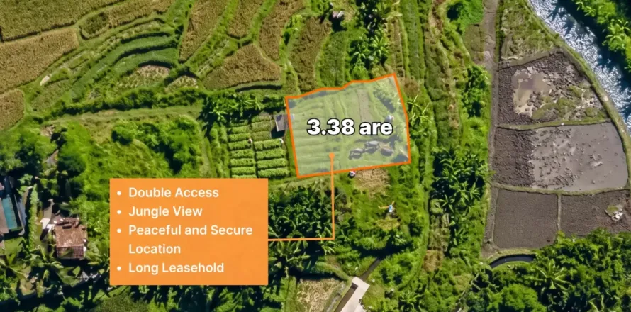 Land in Ubud, Gianyar, Bali (17052)