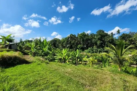 Land in Ubud, Gianyar, Bali (17052) 6