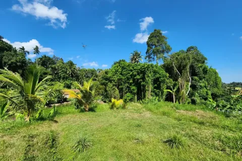 Land in Ubud, Gianyar, Bali (17052) 5