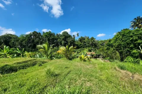 Land in Ubud, Gianyar, Bali (17052) 4