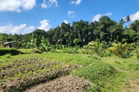 Land in Ubud, Gianyar, Bali (17052) 9