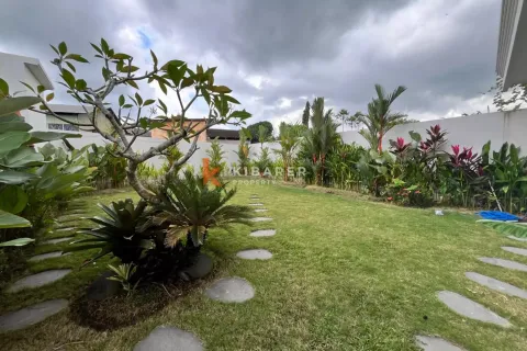2 bedrooms Villa in Canggu, Badung, Bali (13336) 8