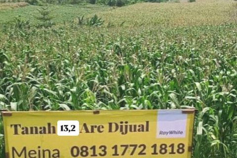 Земельный участок в Селемадег, Табанан,  (9643) 5