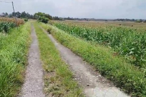 Земельный участок в Селемадег, Табанан,  (9643) 3