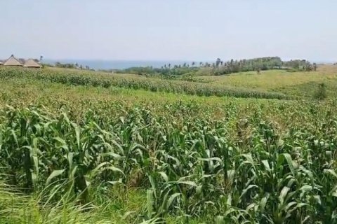 Земельный участок в Селемадег, Табанан,  (9643) 1