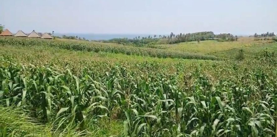 Земельный участок в Селемадег, Табанан,  (9643)