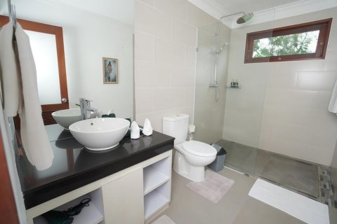 2 bedrooms Villa in Abang, Karang Asem, Bali (15273)