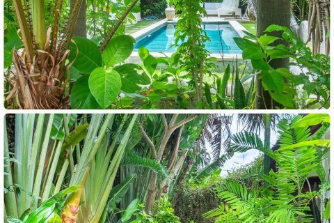 2 bedrooms Villa in Canggu, Badung, Bali (15272) 9
