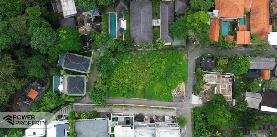 Земельный участок 995м2 в Чангу, Бадунг, (9694)