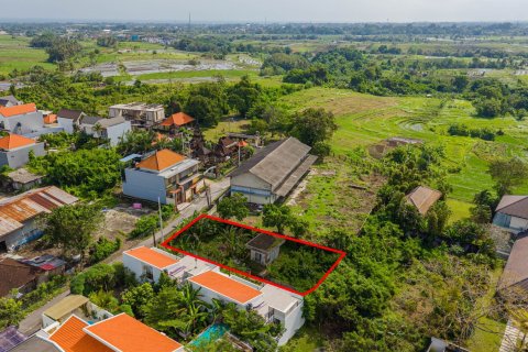 Land in Munggu, Mengwi, Badung, Bali (15635) 2