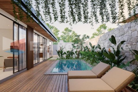 2 bedrooms Villa in Munggu, Mengwi, Badung, Bali (2359) 2
