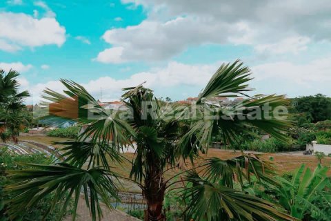 2 bedrooms Villa in Canggu, Badung, Bali (2361) 9