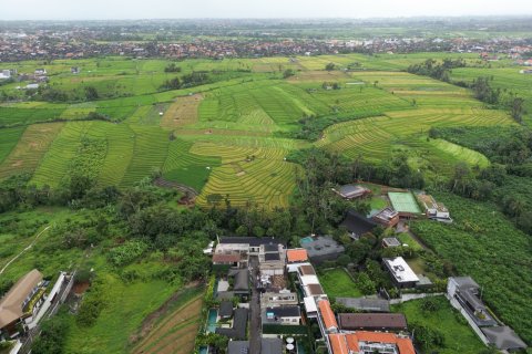 Вилла с 2 спальнями в Чангу, Бадунг,  (6122) 11