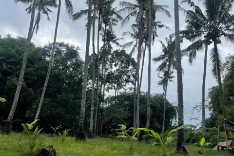Land in Kediri, Tabanan, Bali (10859) 5