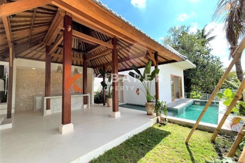 2 bedrooms Villa in Pererenan, Mengwi, Badung, Bali (13291) 13