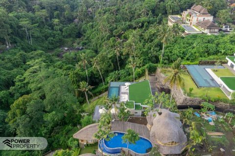 4 bedrooms Villa in Ubud, Gianyar, Bali (10287) 26