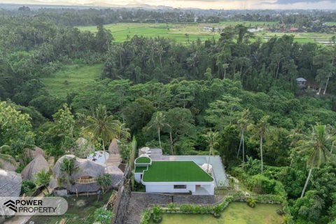 4 bedrooms Villa in Ubud, Gianyar, Bali (10287) 25