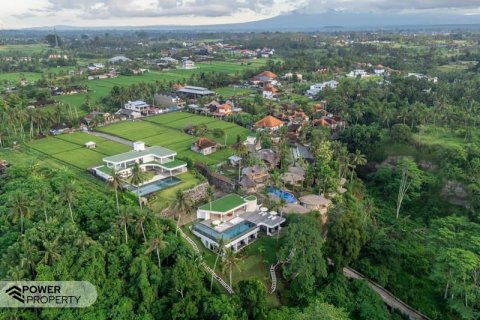 4 bedrooms Villa in Ubud, Gianyar, Bali (10287) 27