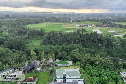 4 bedrooms Villa in Ubud, Gianyar, Bali (10287) 28