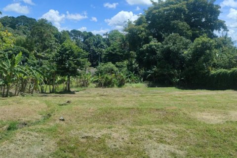 Land in Tabanan, Bali (11925) 3