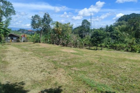 Land in Tabanan, Bali (11925)