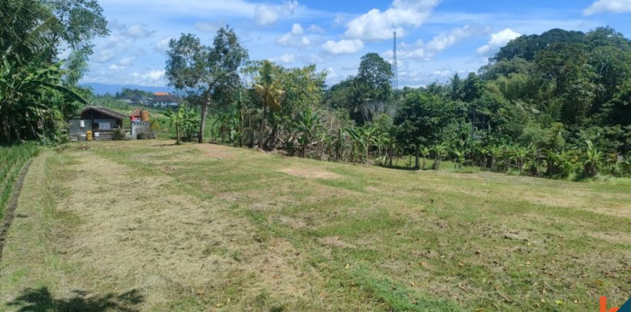 Land in Tabanan, Bali (11925)
